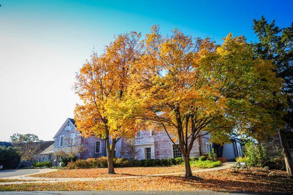 Edwards Hall in the fall