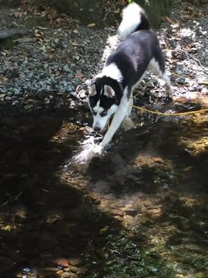 Fun in the water with Alaska.