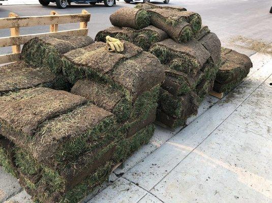 Pallets of sod for a sod & sprinkler installation.