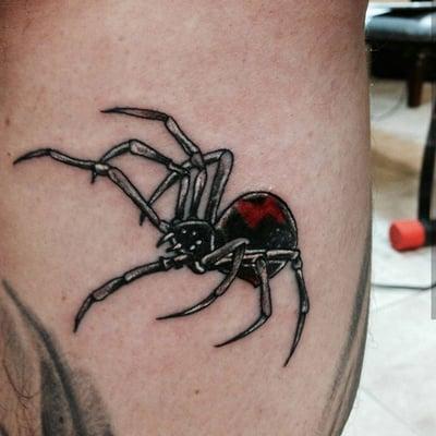 Fresh little black widow banger done by @scottadamstattoos. Very strong american tradiitonal artist right here.