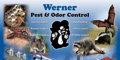 Werner Pest Control