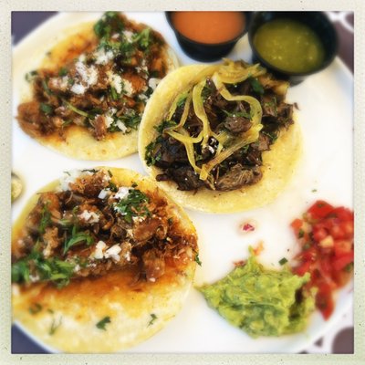 Tacos Al Pastor and Carne Asada, with guacamole and salsa and two kinds of hot sauce.