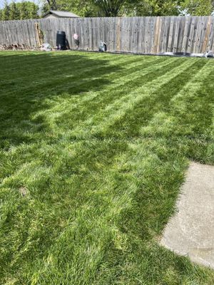 I have lines in my lawn!!!  Thanks GrowinGreen!