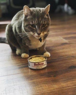 Kittys love our canned halibut!