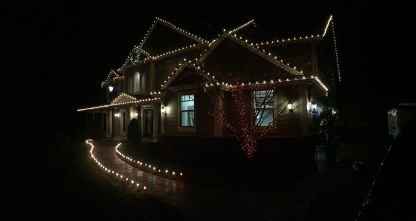 Professional Holiday lighting