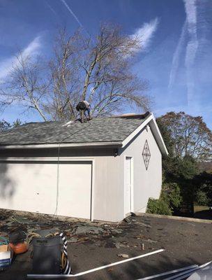 New Garage Roof.