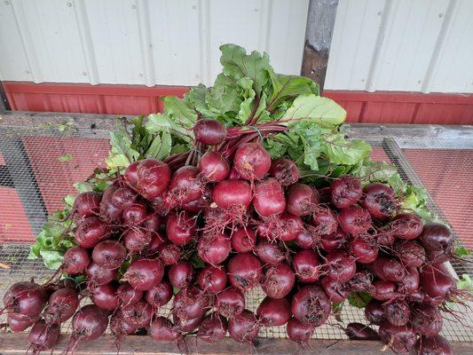 Rusty Plow Farms