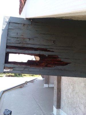 Fungus damage and Drywood Termite damage.