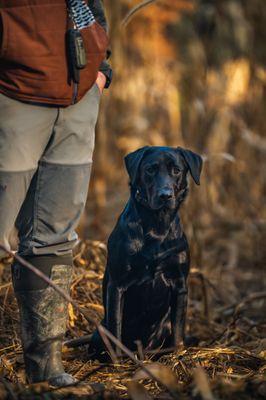 Markover Game Farm & Hunting Preserve