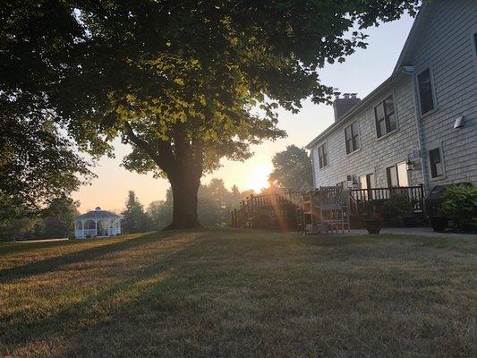 Backyard at Sunrise