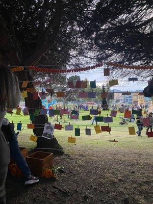 Festival of Altars at Potrero Del Sol Park 11.02.23