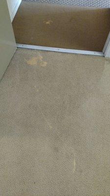 Customer spilled bleach at entry to unit.