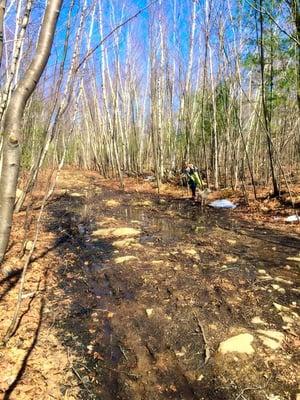 Mud season!  We got filthy and had a blast and a great workout hiking!