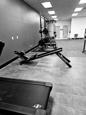 At Physiophyx PT, we provide a cutting-edge clinic and gym space designed for athletes or aspiring athletes alike.