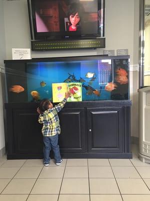 My son wanted to read to the huge fish tank of fish.