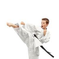 want to be a black belt?