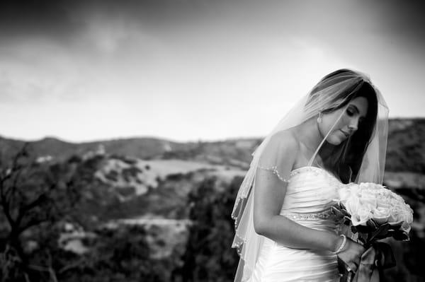 Weddings Reportage