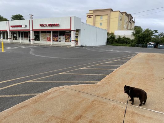 Fitz's Liquor Store