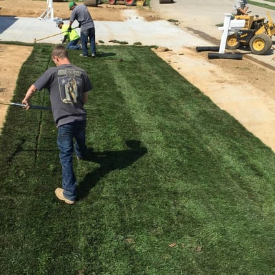 Laying our fescue sod that was cut today.