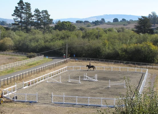 All weather arena watered and dragged daily.