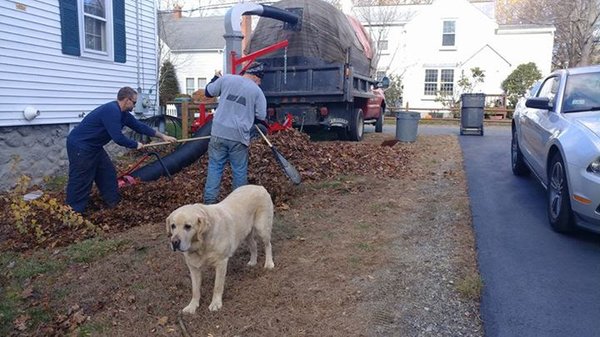 Fall Clean Up in Marlboro, MA