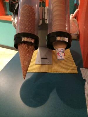 But they also have cones!