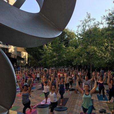 Yoga in Noma Square downtown