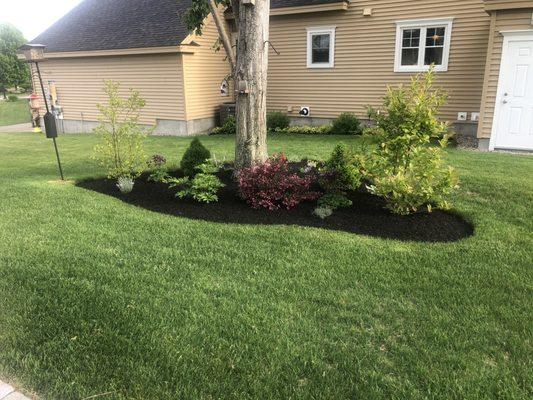 Side yard flower garden