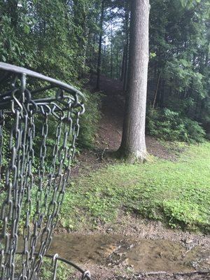 The end of the course, the lovely #9 at the bottom of the hill. A handy stream right under this, to clean your sure-to-be-messy discs!