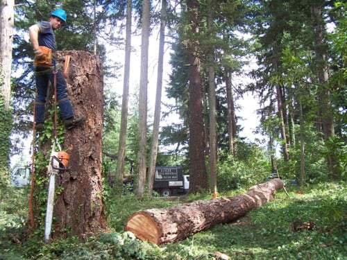 Tree Service Claremore OK