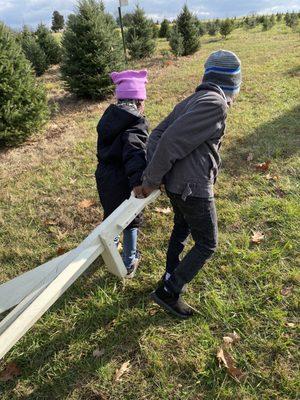 Sitko Tree Farm