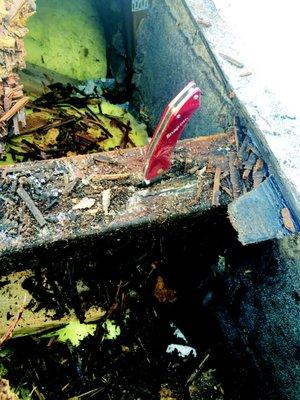 Rotting truss embedded in wet masonry wall. We repair, reinforce and replace damaged trusses.