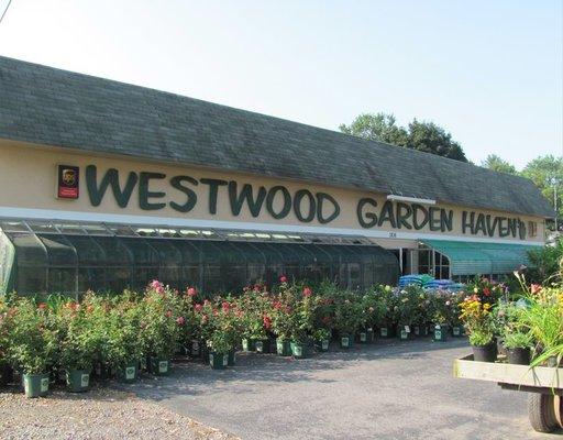 Westwood Garden Haven