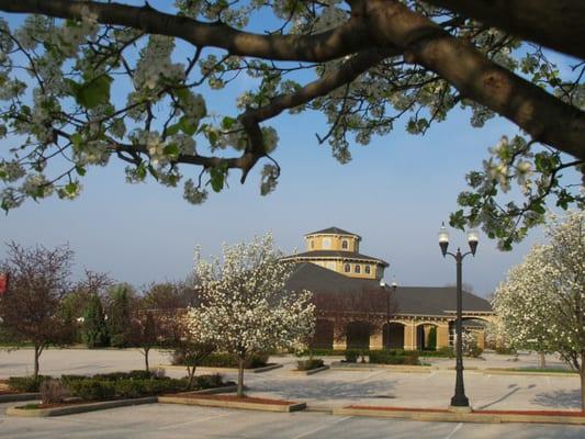 Memorial Park Cemetery-Exterior