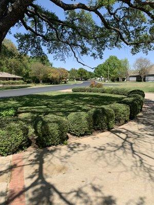 Texas Lawn Service & Landscapes 