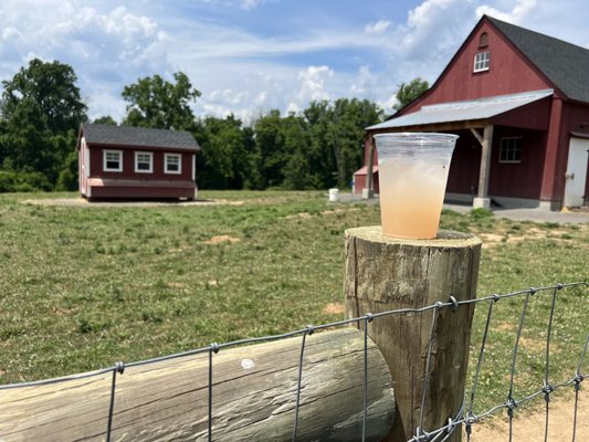 Lavender lemonade at the Princeton Lavender farm.