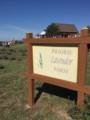 Prairie Lavender Farm