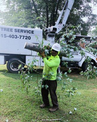 Tree Cutting Services by DJ Tree Service, LLC