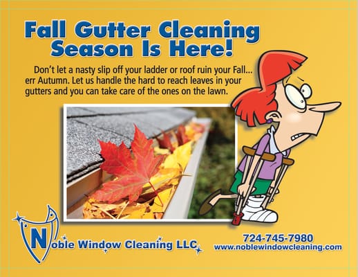 Spring/Fall Gutter Cleaning