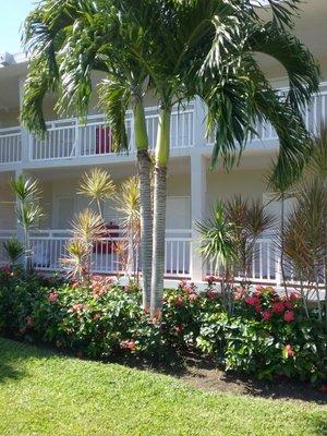 Beaches Ocho Rios Rooms