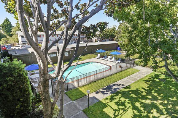 Courtyard and pool