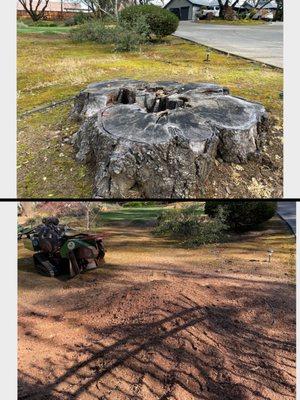 Old large stump removed for landscaping