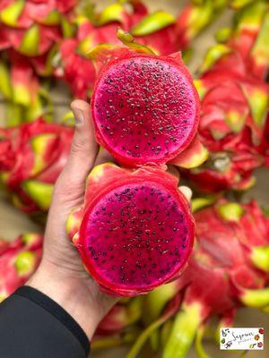 Red Dragon Fruit / Pitaya