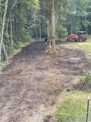 They cleared so many trees and stumps, it was fast efficient and very reasonable