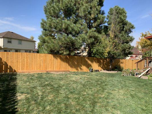 Replace and Stain Fence