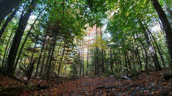 Thorncrag in autumn!