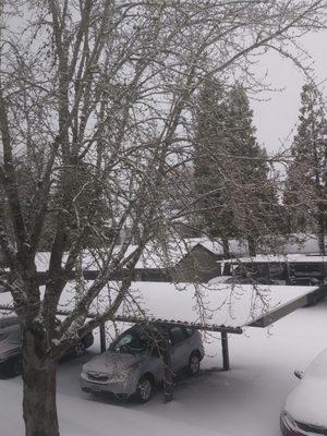 Still coming down in Hillsboro. 2-13-2021