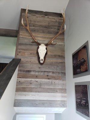 Elk Mount Above Stairs