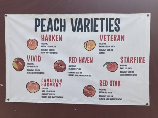 Variety of peaches