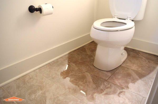 Water damage can happen to anyone and our Certificated Technicians are here 24 hours a day!